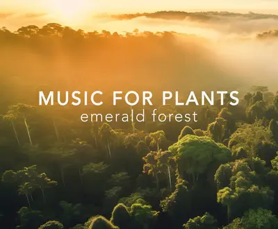 Music for Plants